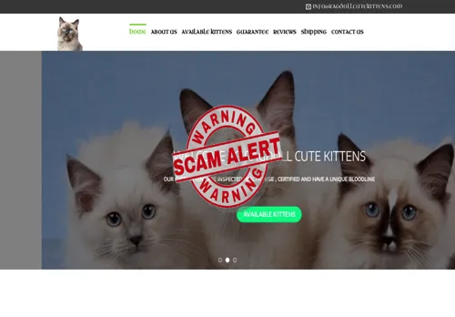 Ragdollcutekittens.com Screenshot