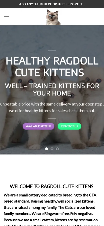 Ragdollcutekittens.com Screenshot
